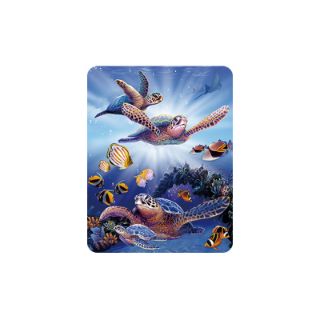 Obrázek z Magnet 3D 7x9cm - mořské želvy (25) 